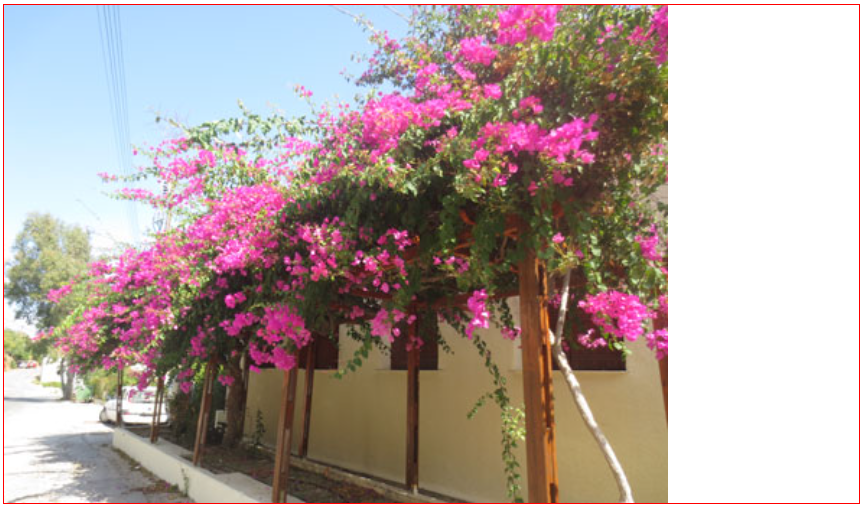 Example Responsive Web Design background images