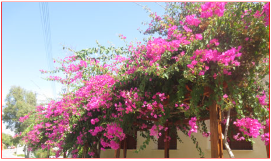 Example Responsive Web Design background-size images