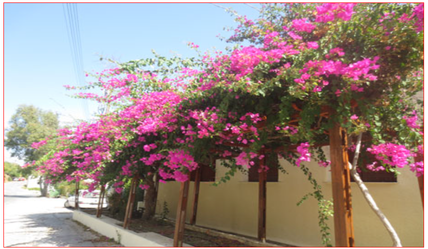 Example Responsive Web Design background-size images